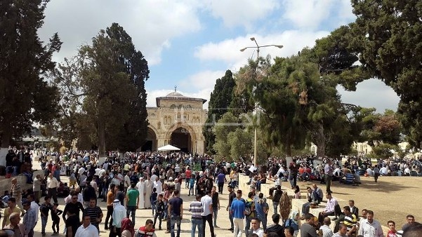 آلاف المواطنين يتوجهون للأقصى لأداء صلاة الجمعة الثانية